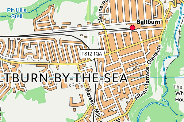 TS12 1QA map - OS VectorMap District (Ordnance Survey)