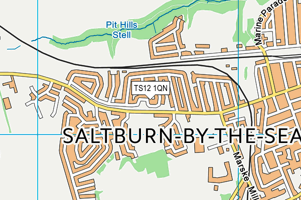 TS12 1QN map - OS VectorMap District (Ordnance Survey)