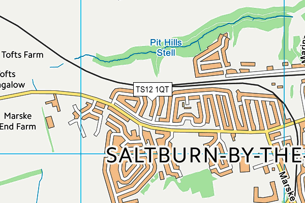 TS12 1QT map - OS VectorMap District (Ordnance Survey)