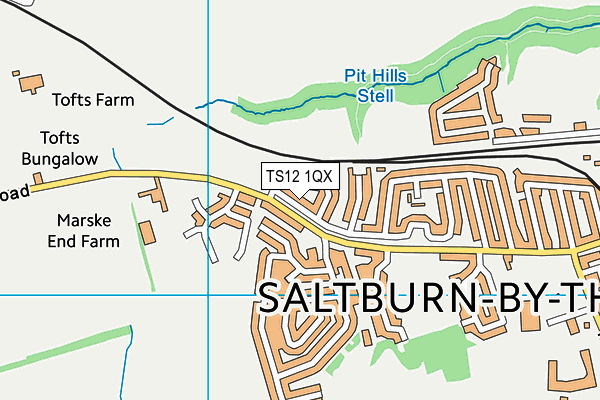 TS12 1QX map - OS VectorMap District (Ordnance Survey)