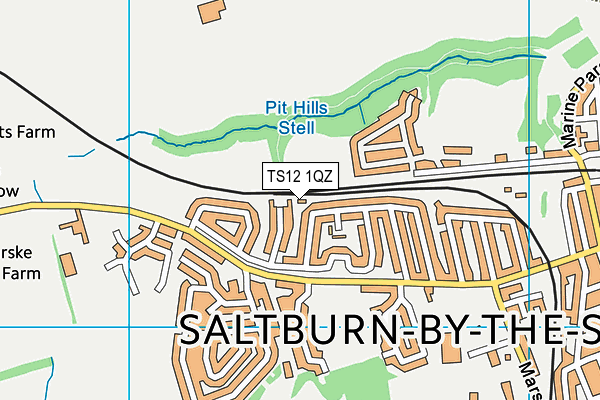 TS12 1QZ map - OS VectorMap District (Ordnance Survey)