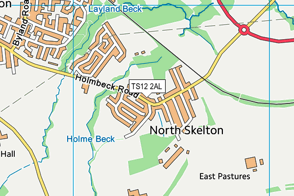 North Skelton Playing Field map (TS12 2AL) - OS VectorMap District (Ordnance Survey)