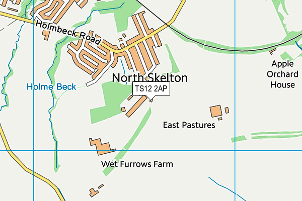 TS12 2AP map - OS VectorMap District (Ordnance Survey)