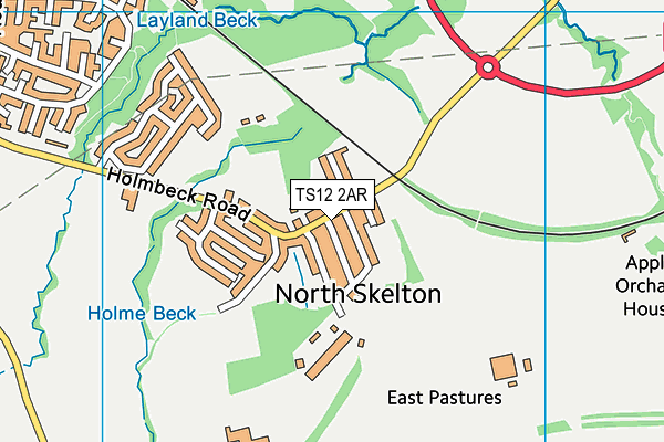 TS12 2AR map - OS VectorMap District (Ordnance Survey)