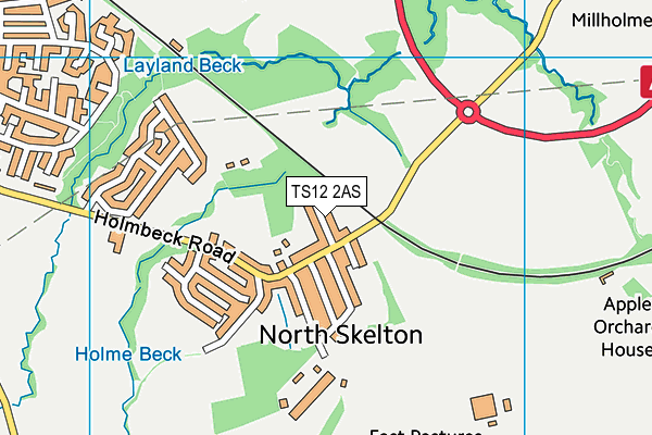 TS12 2AS map - OS VectorMap District (Ordnance Survey)