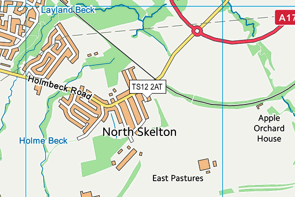 TS12 2AT map - OS VectorMap District (Ordnance Survey)