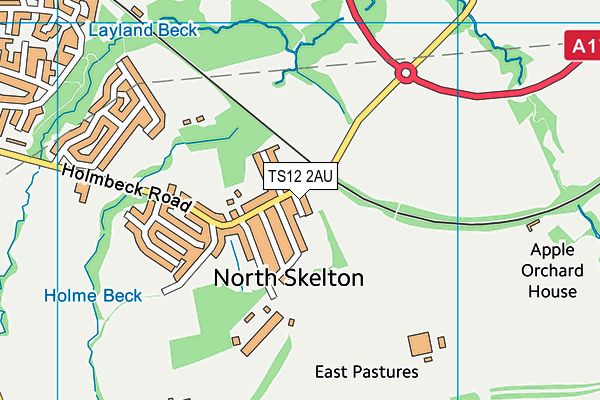 TS12 2AU map - OS VectorMap District (Ordnance Survey)