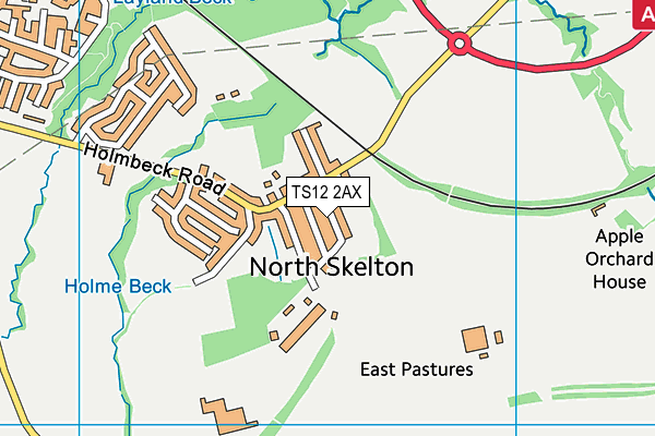 TS12 2AX map - OS VectorMap District (Ordnance Survey)