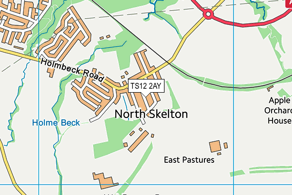 TS12 2AY map - OS VectorMap District (Ordnance Survey)