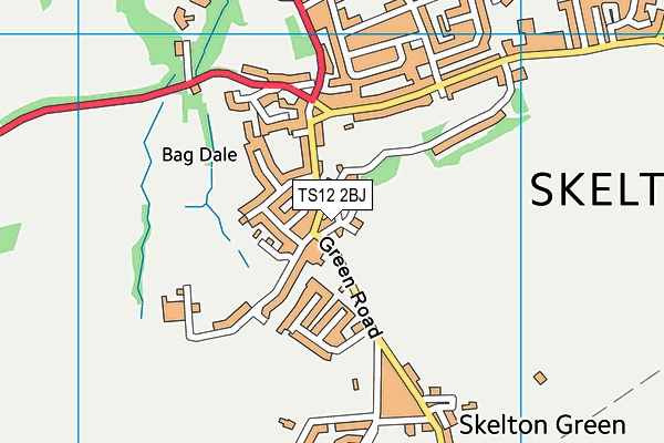 TS12 2BJ map - OS VectorMap District (Ordnance Survey)