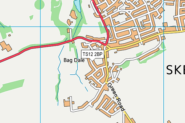 TS12 2BP map - OS VectorMap District (Ordnance Survey)