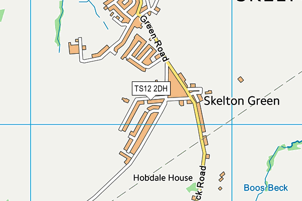 TS12 2DH map - OS VectorMap District (Ordnance Survey)