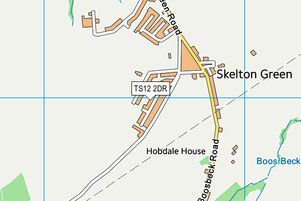 TS12 2DR map - OS VectorMap District (Ordnance Survey)