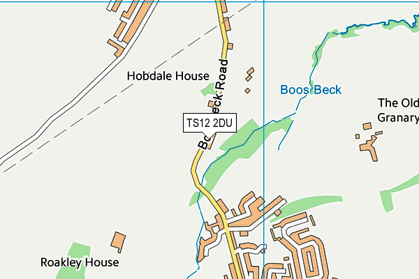 TS12 2DU map - OS VectorMap District (Ordnance Survey)