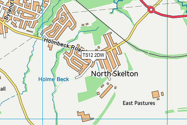 TS12 2DW map - OS VectorMap District (Ordnance Survey)