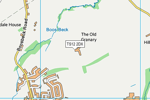 TS12 2DX map - OS VectorMap District (Ordnance Survey)