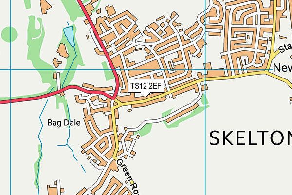 TS12 2EF map - OS VectorMap District (Ordnance Survey)