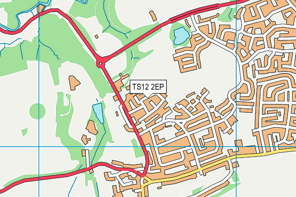 TS12 2EP map - OS VectorMap District (Ordnance Survey)
