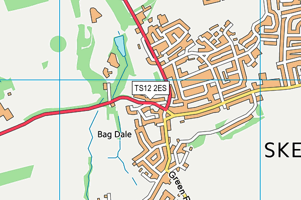 TS12 2ES map - OS VectorMap District (Ordnance Survey)