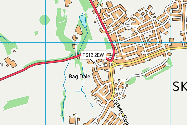 TS12 2EW map - OS VectorMap District (Ordnance Survey)