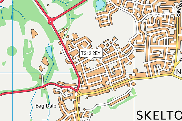 TS12 2EY map - OS VectorMap District (Ordnance Survey)
