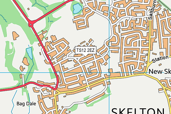 TS12 2EZ map - OS VectorMap District (Ordnance Survey)