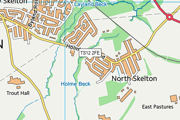 TS12 2FE map - OS VectorMap District (Ordnance Survey)