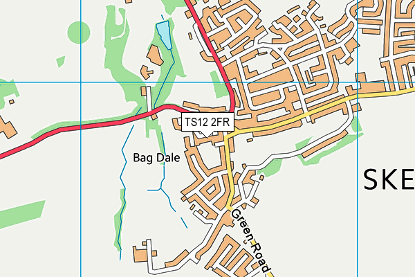 TS12 2FR map - OS VectorMap District (Ordnance Survey)