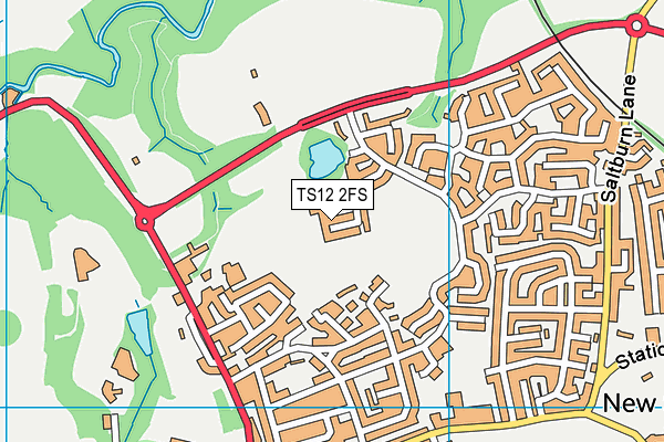 TS12 2FS map - OS VectorMap District (Ordnance Survey)