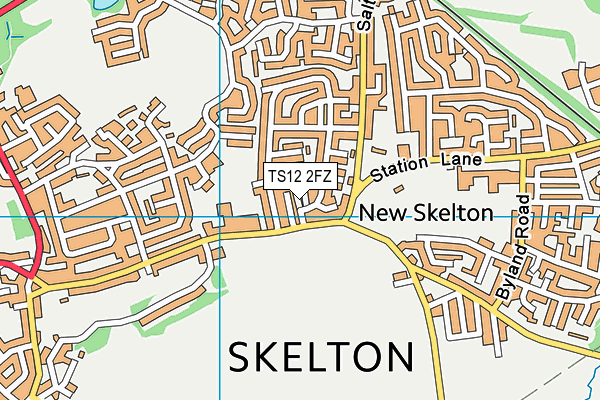 TS12 2FZ map - OS VectorMap District (Ordnance Survey)