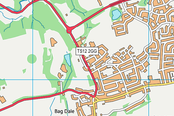 TS12 2GG map - OS VectorMap District (Ordnance Survey)