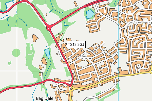 TS12 2GJ map - OS VectorMap District (Ordnance Survey)