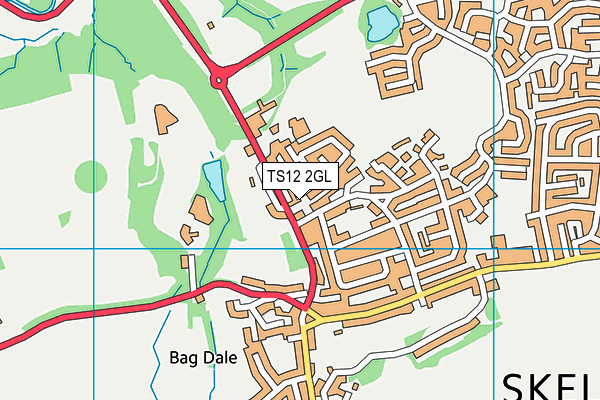 TS12 2GL map - OS VectorMap District (Ordnance Survey)