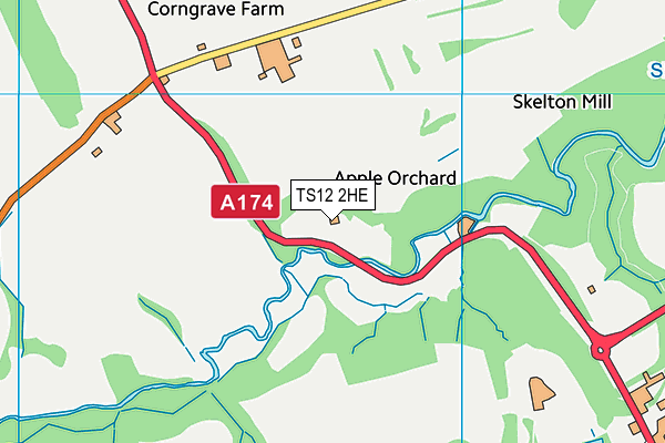 TS12 2HE map - OS VectorMap District (Ordnance Survey)