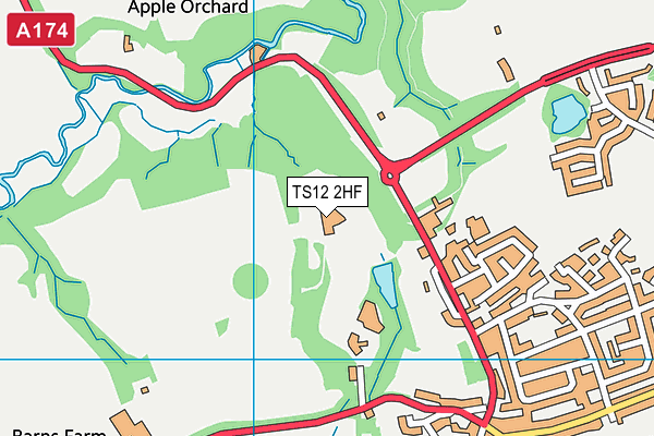 TS12 2HF map - OS VectorMap District (Ordnance Survey)