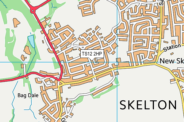 TS12 2HP map - OS VectorMap District (Ordnance Survey)