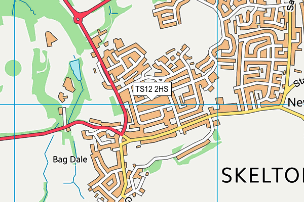 TS12 2HS map - OS VectorMap District (Ordnance Survey)