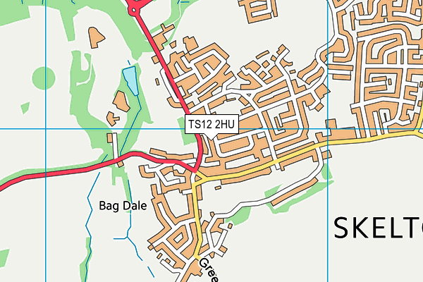 TS12 2HU map - OS VectorMap District (Ordnance Survey)