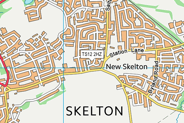 TS12 2HZ map - OS VectorMap District (Ordnance Survey)