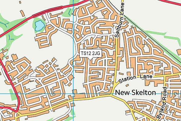 TS12 2JG map - OS VectorMap District (Ordnance Survey)