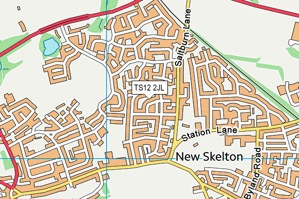 TS12 2JL map - OS VectorMap District (Ordnance Survey)