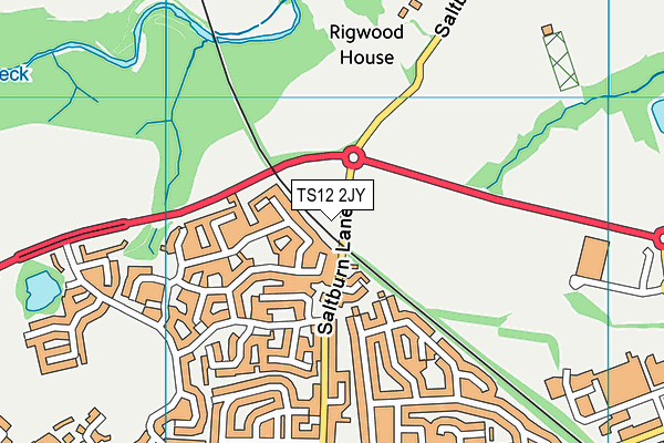 TS12 2JY map - OS VectorMap District (Ordnance Survey)