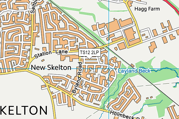 TS12 2LP map - OS VectorMap District (Ordnance Survey)
