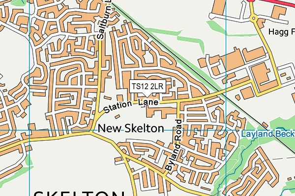 TS12 2LR map - OS VectorMap District (Ordnance Survey)