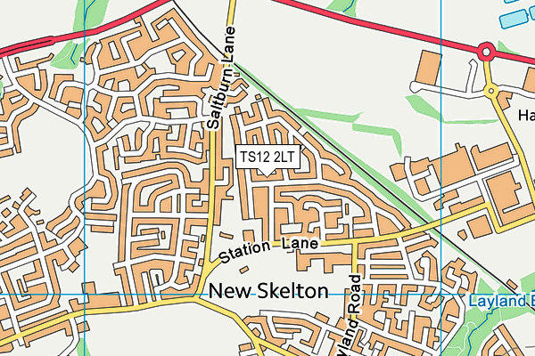 TS12 2LT map - OS VectorMap District (Ordnance Survey)