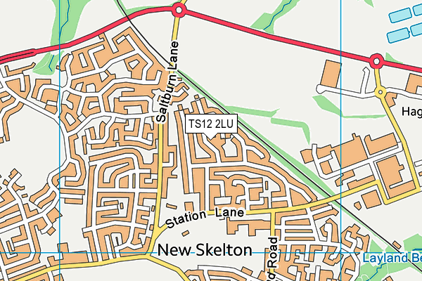 TS12 2LU map - OS VectorMap District (Ordnance Survey)