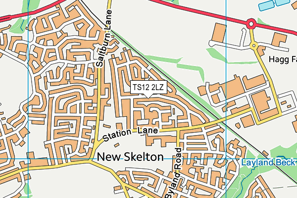 TS12 2LZ map - OS VectorMap District (Ordnance Survey)