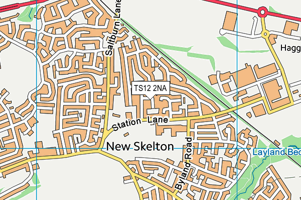 TS12 2NA map - OS VectorMap District (Ordnance Survey)