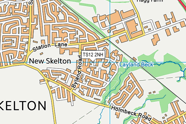 TS12 2NH map - OS VectorMap District (Ordnance Survey)