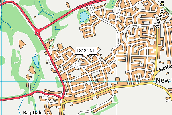 TS12 2NT map - OS VectorMap District (Ordnance Survey)